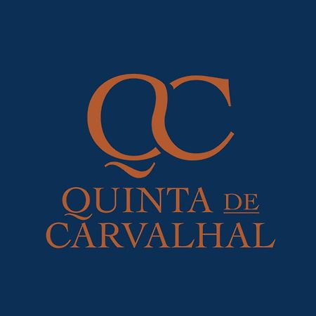 Quinta De Carvalhal - Casa Da Vinha Villa Guimarães Dış mekan fotoğraf