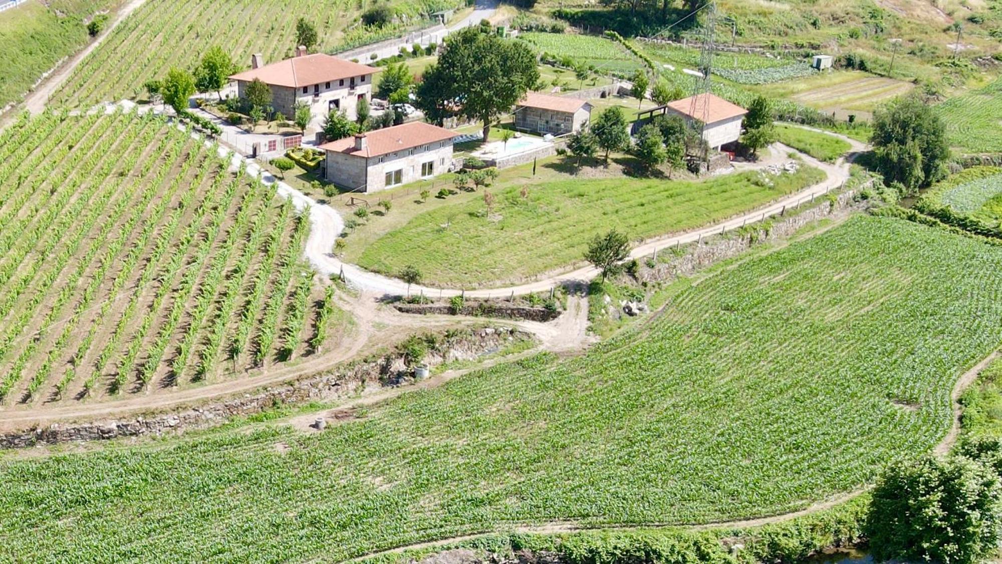 Quinta De Carvalhal - Casa Da Vinha Villa Guimarães Dış mekan fotoğraf